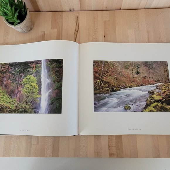 The Art of Nature Reflections on the Grand Design. Time Heinemann & Tim … - Picture 7 of 7